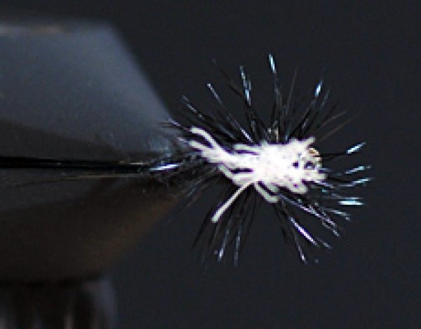 ミッジパラシュート・ブラック