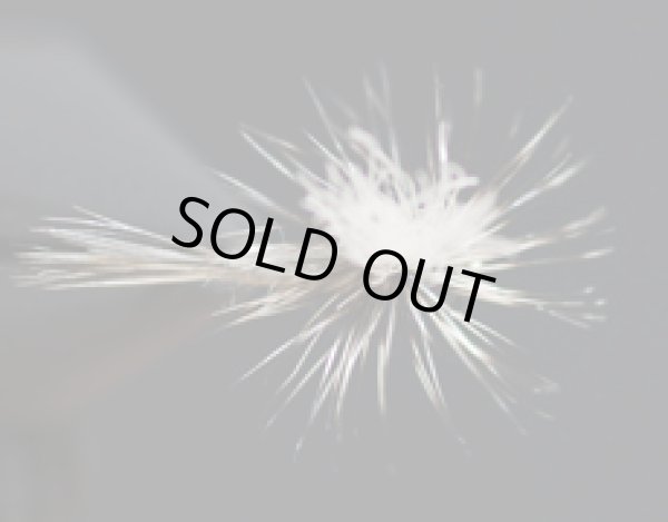 ミッジパラシュート・グリズリー