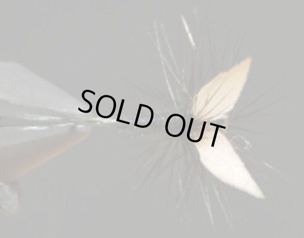 ブラックナット