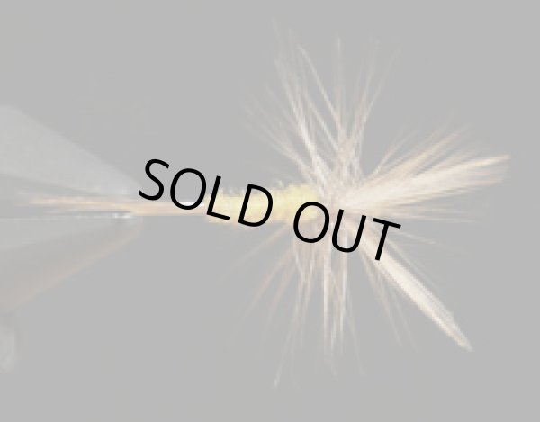 ブルーウィングオリーブ