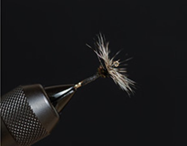 瀬畑毛鉤・鶏羽黒