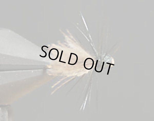 CDCフライングアント・ブラック