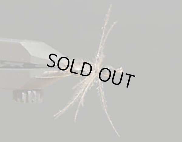 CDCグルーアント・ブラック