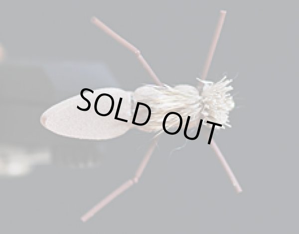 グラスホッパー・ブラウン